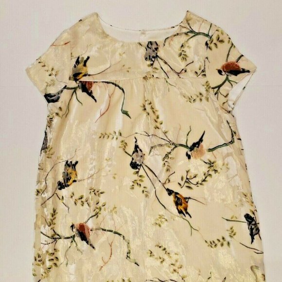 NEW ZARA GIRL VELVET DRESS W GOLD METALLIC THREAD - SZ 13 14 164 - Picture 2 of 6